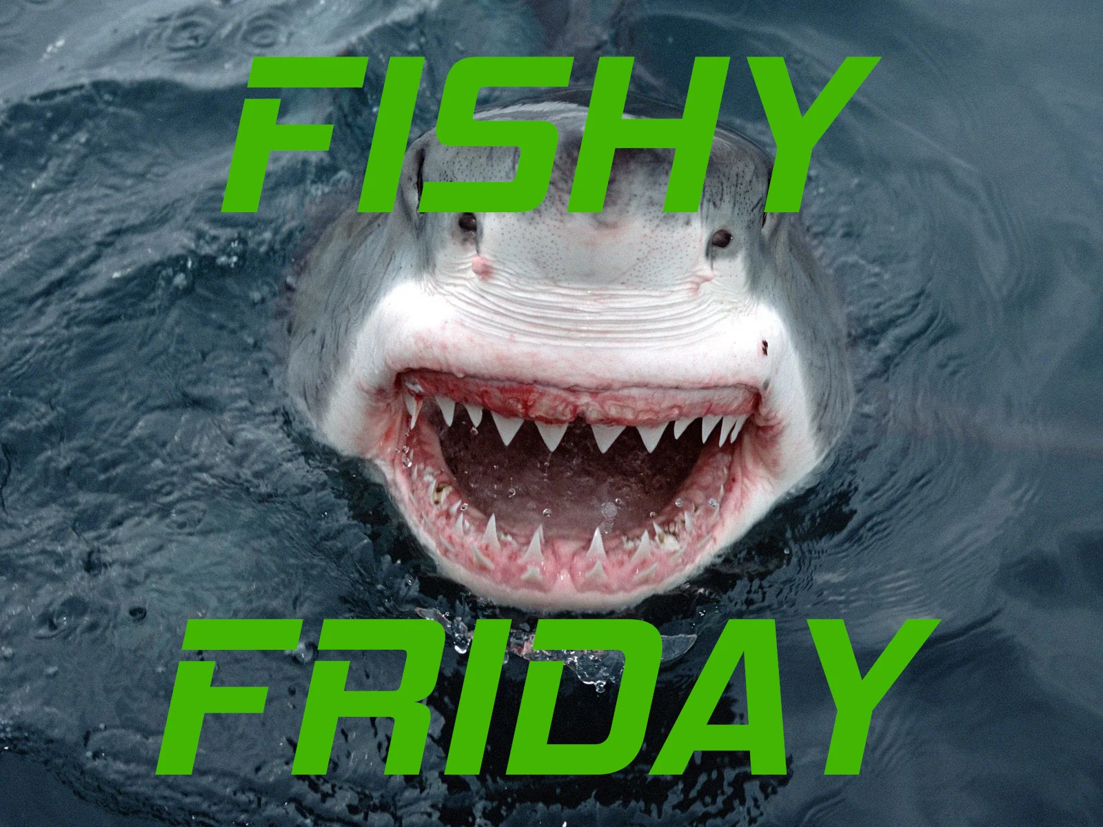 CAB TV | Funbucket 33⅓ (13.03.20)